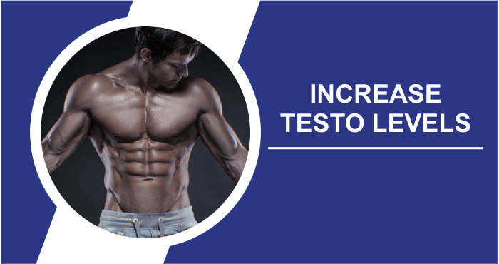 How to increase testosterone title image